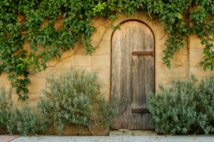 wood-door-surrounded-green-plants-representing-choice